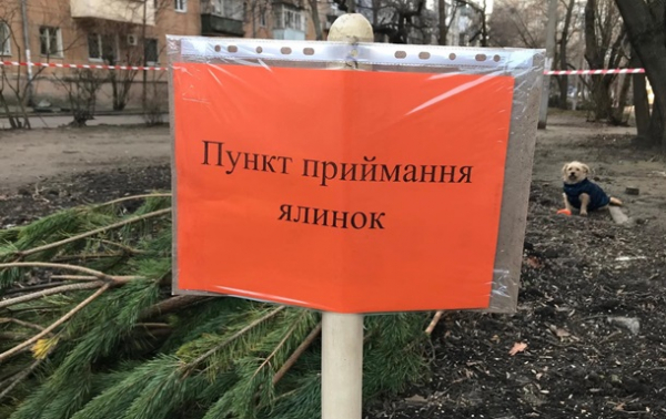 В Одессе использованные елки будут менять на сладости