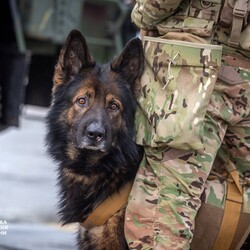 Учения СБУ под Киевом: силовики обезвредили террористов, освободили самолет и спасли заложников - 