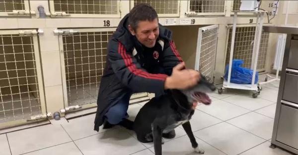 В Днепре живет собака, которая претендует на звание самой старой в Украине - 