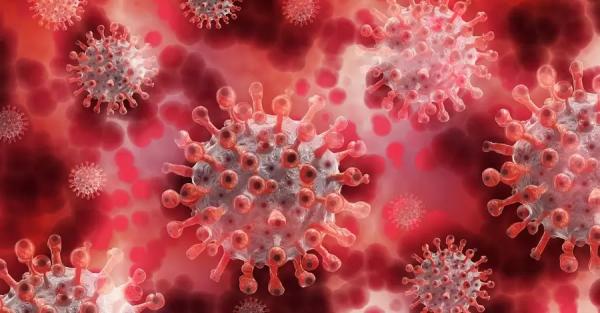 Эксперты ВОЗ уверены, что в 2022 году мир не сможет побороть коронавирус - 