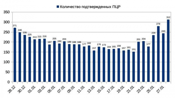 Измаильских школьников из-за ковида и гриппа снова отправляют на «дистанционку»