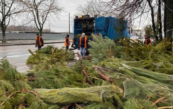 На улицах Одессы торговцы бросили тысячи елок