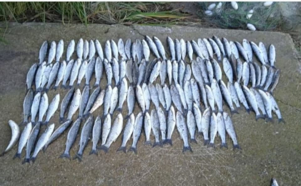 «Любитель» кефали: на Катранке поймали браконьера, улов на сумму свыше 200 тыс. грн
