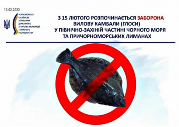 Штраф 1 700 гривен: с 15 февраля в Одесском регионе начинает действовать новый запрет