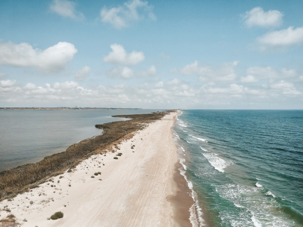 Два Белгород-Днестровских курорта судятся из-за 25 га пляжа: кто прав