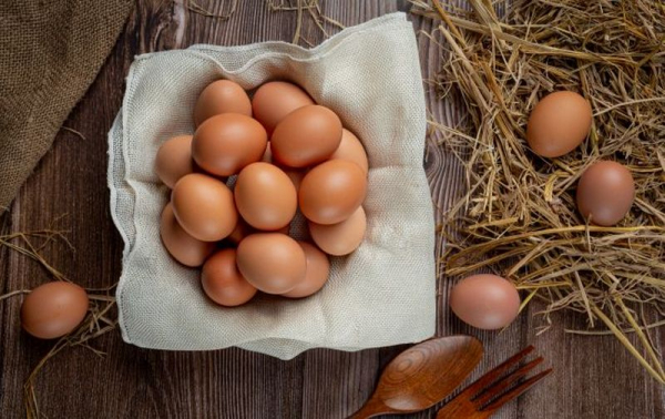 Развенчаны популярные мифы о пользе домашних яиц