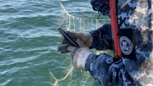 400 м бесхозных сеток: в Черном море спасали от браконьеров осетров и катранов