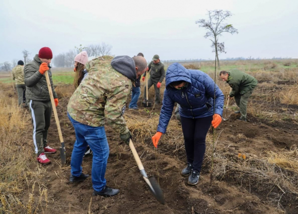 «Будут заложены новые леса»: в Одесской области высадят 250 тысяч деревьев
