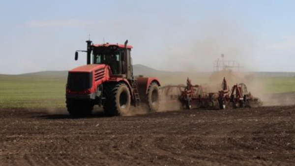 Фермерам не хватает средств: в Одесской области стартовала посевная кампания