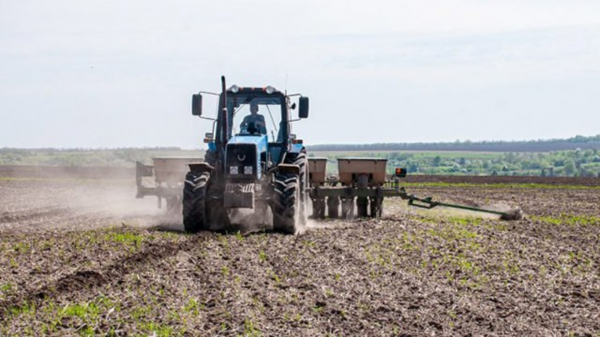На Одесчине уже обработали около 100 тысяч гектаров полей: когда закончится посевная кампания