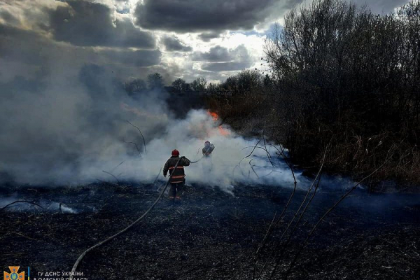 В Бессарабии продолжают гореть экосистемы: пострадал лес за Лебедевкой (фото)