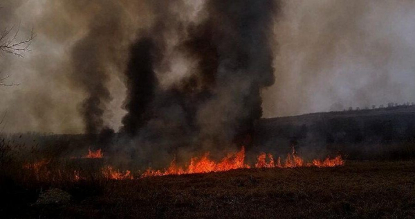 «Тушили ведрами»: под Одессой при сжигании сухой травы погиб человек (фото)