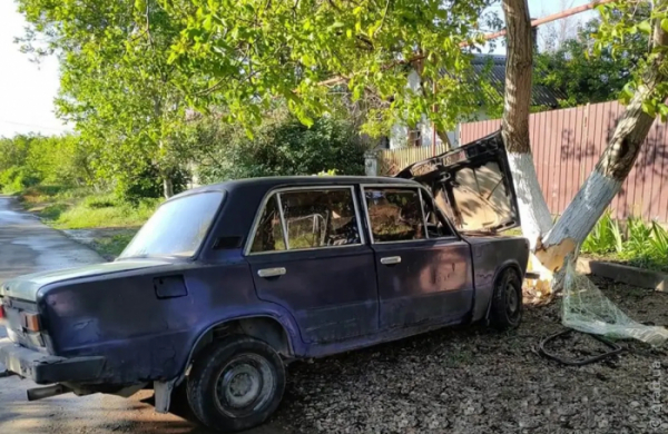 ДТП в Великом Дальнике: водитель протаранил дерево