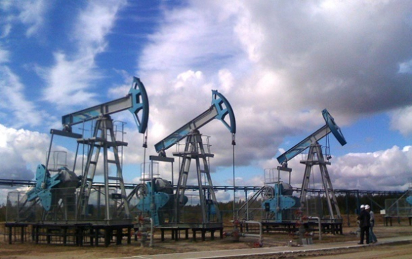 В Минэнерго оценили потери ЕС от эмбарго на нефть из РФ