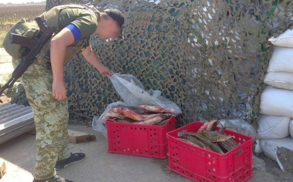 Измаильские пограничники поймали браконьера с краснокнижной рыбой почти на три миллиона гривен