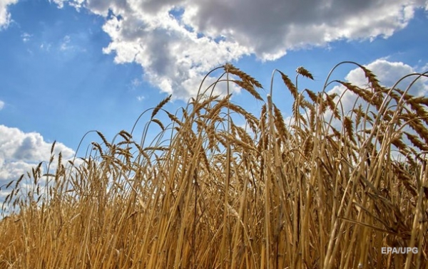 В Украине оценили потери урожая из-за оккупации