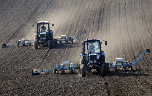 Украина начала посевную озимых зерновых