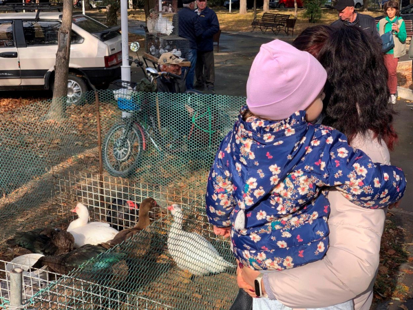 В Измаиле открылась традиционная осенняя выставка-ярмарка домашних животных и птиц