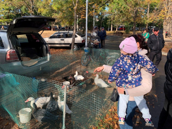 В Измаиле открылась традиционная осенняя выставка-ярмарка домашних животных и птиц