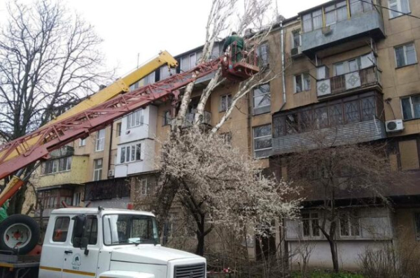 Сильний вітер в Одесі призвів до падіння понад 100 дерев - новини Одеси