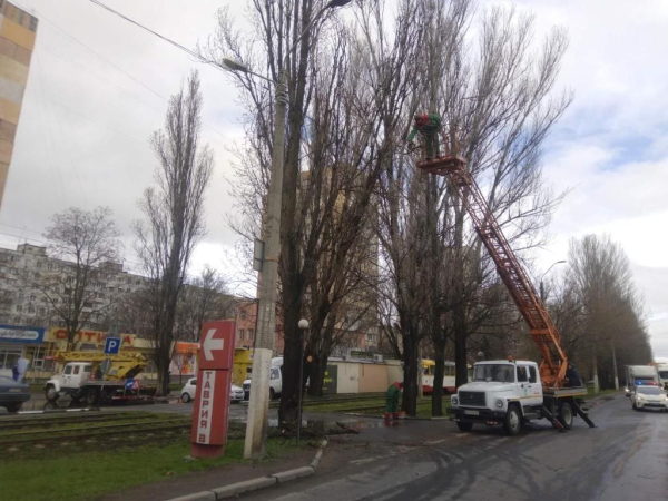Сильний вітер в Одесі призвів до падіння понад 100 дерев - новини Одеси