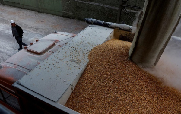 Названы сроки приостановки экспорта зерна в Польшу