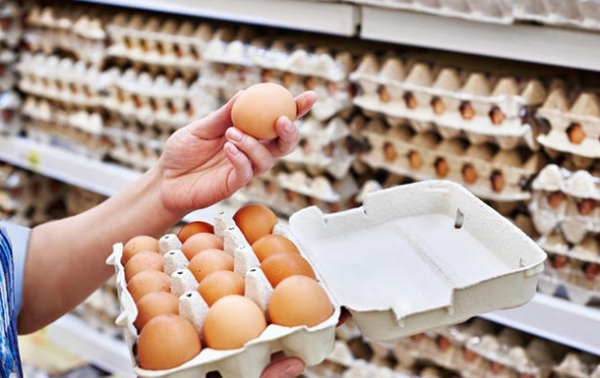 Отменены ограничения на экспорт мяса и яиц из Украины