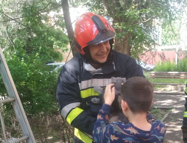 В Измаиле спасатели помогли снять с высокого дерева котенка