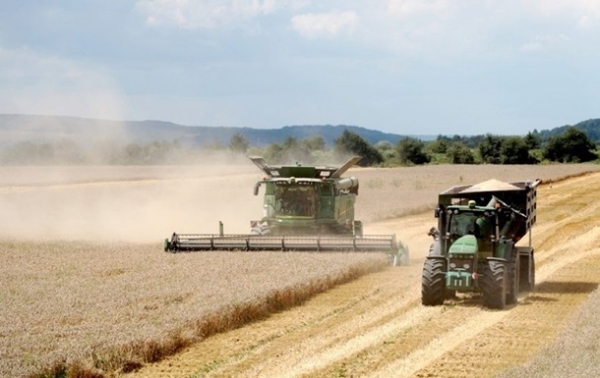 В Украине собрали более 27 миллионов тонн зерна