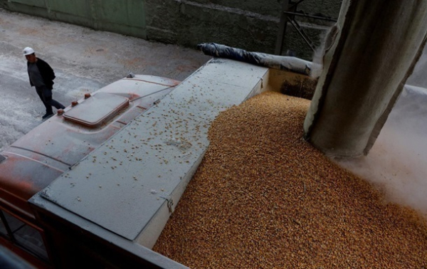 Румыния утвердила условия импорта зерна из Украины