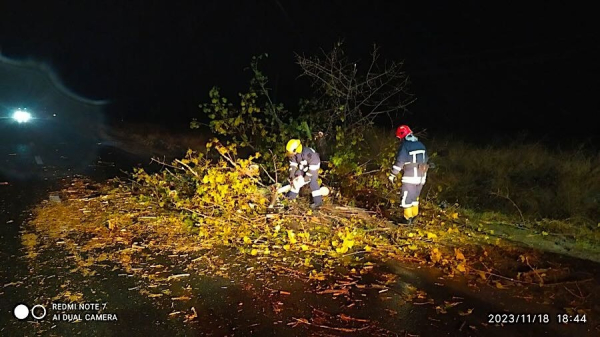 Поваленное штормовым ветром дерево блокировало подъезд в Измаиле и повредило автомобиль