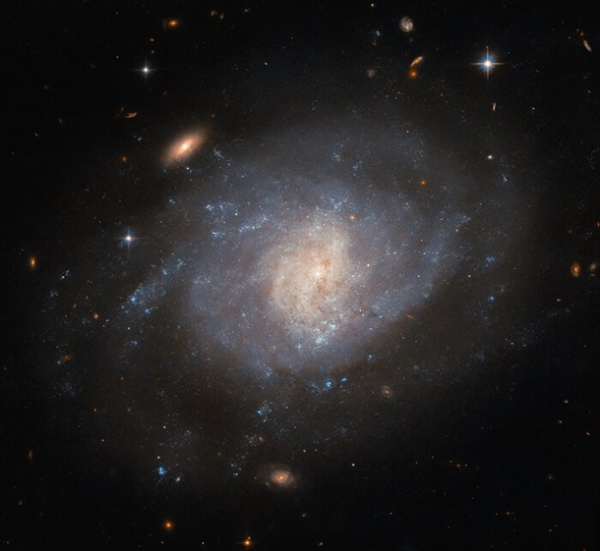 Hubble сфотографировал спиральную галактику, расположенную в созвездии Кита