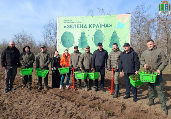 Поблизу Ізмаїла висаджують понад 2000 дерев