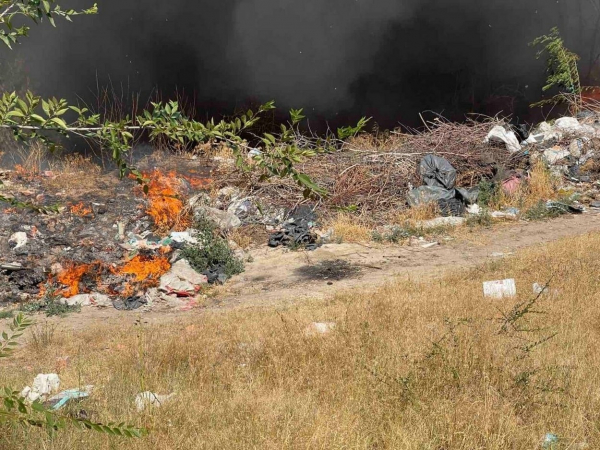 На околиці Ізмаїла сьогодні знову спалахнула пожежа На околиці Ізмаїла сьогодні знову спалахнула пожежа