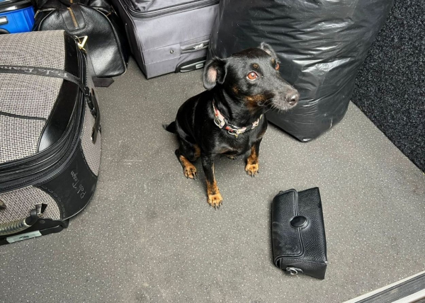 У пункті пропуску Орлівка прикордонники знайшли у пасажирки автобуса амфетамін