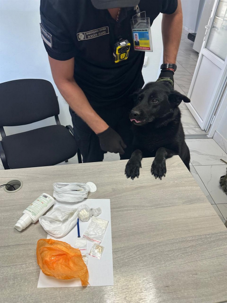 Ізмаїльські прикордонники виявили наркотики у громадянина Франції, який намагався в&rsquo;їхати в Україну