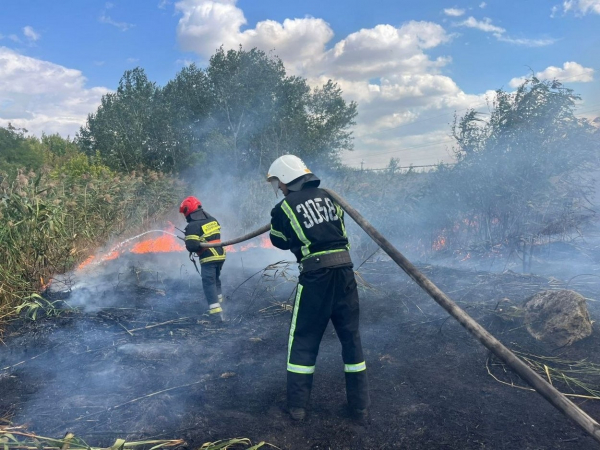 В Ізмаїлі знову масштабно горіло Леб’яже озеро В Ізмаїлі знову масштабно горіло Леб’яже озеро