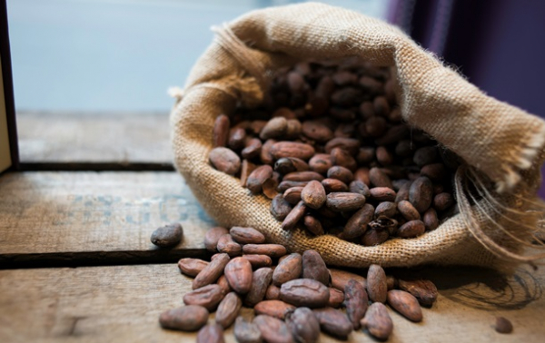 Цены на какао упали до минимума с 2023 года Цены на какао упали до минимума с 2023 года