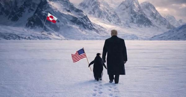 Білий дім відреагував на глузування через картинку Трампа з пінгвіном Білий дім відреагував на глузування через картинку Трампа з пінгвіном