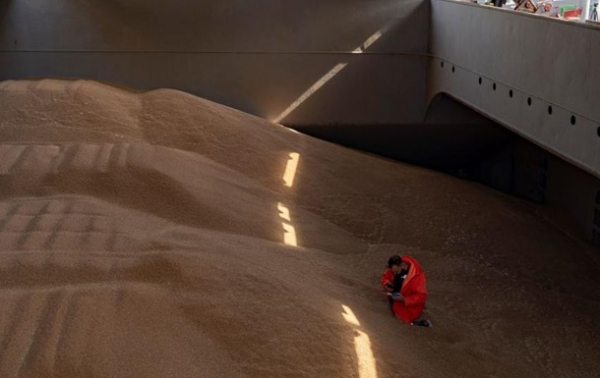 Польша пожаловалась в Совет ЕС на агроимпорт из Украины - СМИ