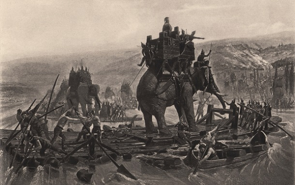 Учёные впервые нашли физические доказательства боевых слонов в Европе