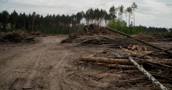 Військових обурило рішення Верховного Суду, який визнав незаконною передачу ділянки під меморіальне кладовище 