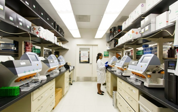 Ожирение значительно ускоряет развитие болезни Альцгеймера - исследование