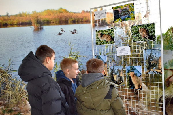 В Ізмаїльському музеї Придунав&rsquo;я відкрилася виставка дитячої творчості
