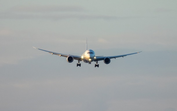 В Россию ввезли шесть двигателей для Boeing в обход санкций - соцсети