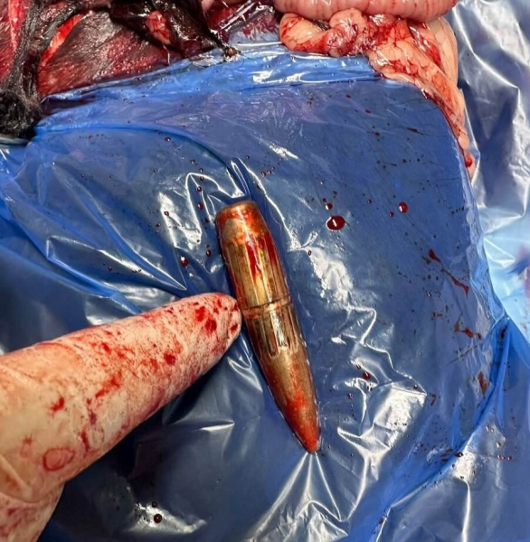 В Ізмаїлі куля пробила дах будинку та вбила домашнього улюбленця під час роботи ППО В Ізмаїлі куля пробила дах будинку та вбила домашнього улюбленця під час роботи ППО