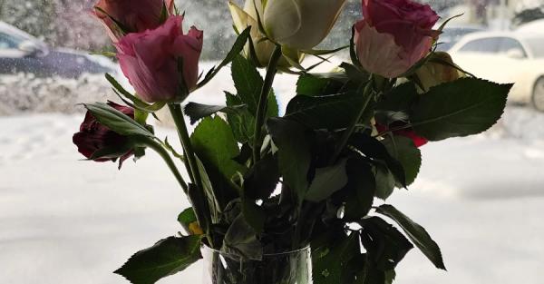 Розділяй і володарюй 