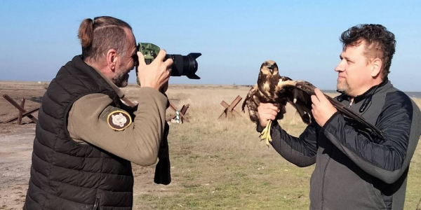 На Ізмаїльській станції юннатів допомогли врятувати червонокнижного птаха