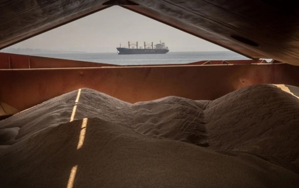 Украинская пшеница подорожала на фоне войны в Иране