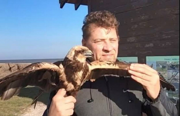 На Ізмаїльській станції юннатів допомогли врятувати червонокнижного птаха